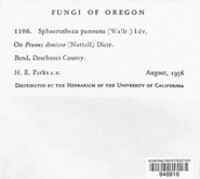 Image Associated With the Occurence